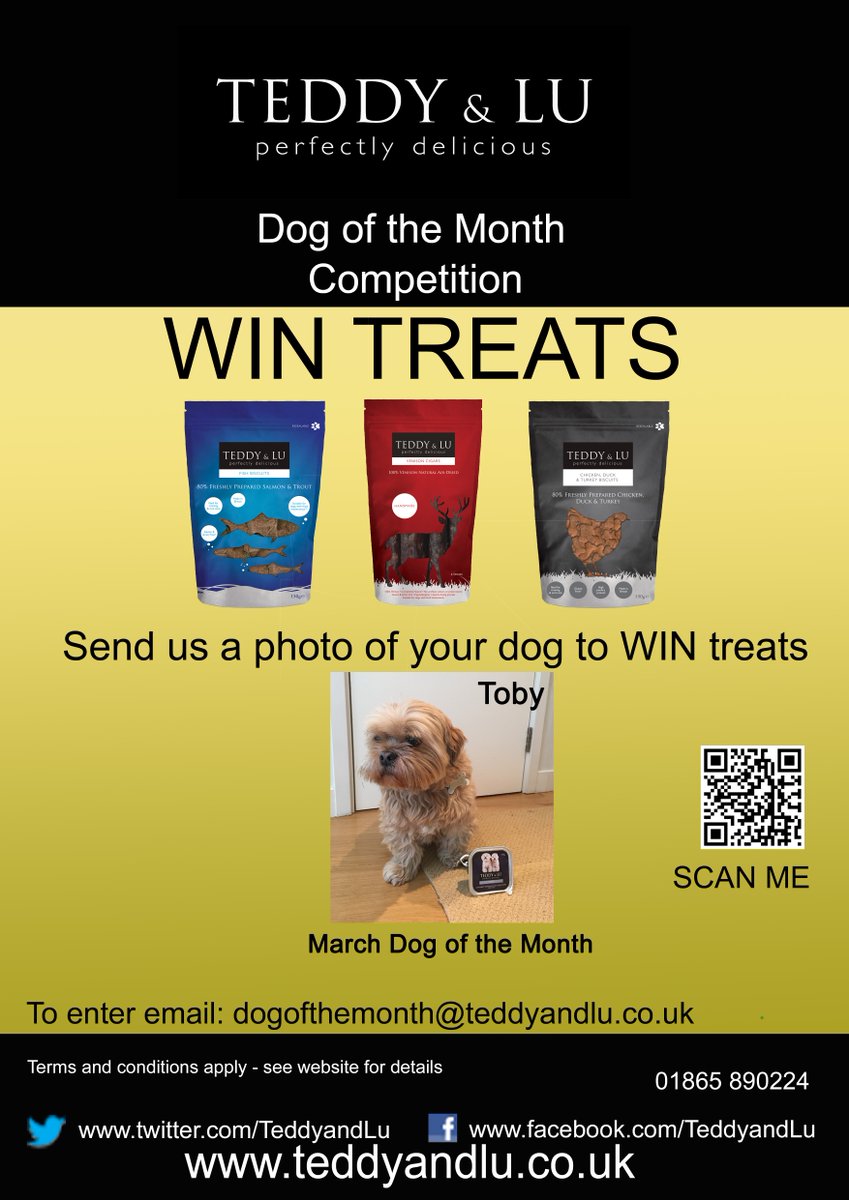 TeddyandLu's tweet photo. Have you #entered or #DogoftheMonth #comp email your #pics dogofthemonth@teddyandlu.co.uk #dogs #WINNER https://t.co/pzrpGXOjOd