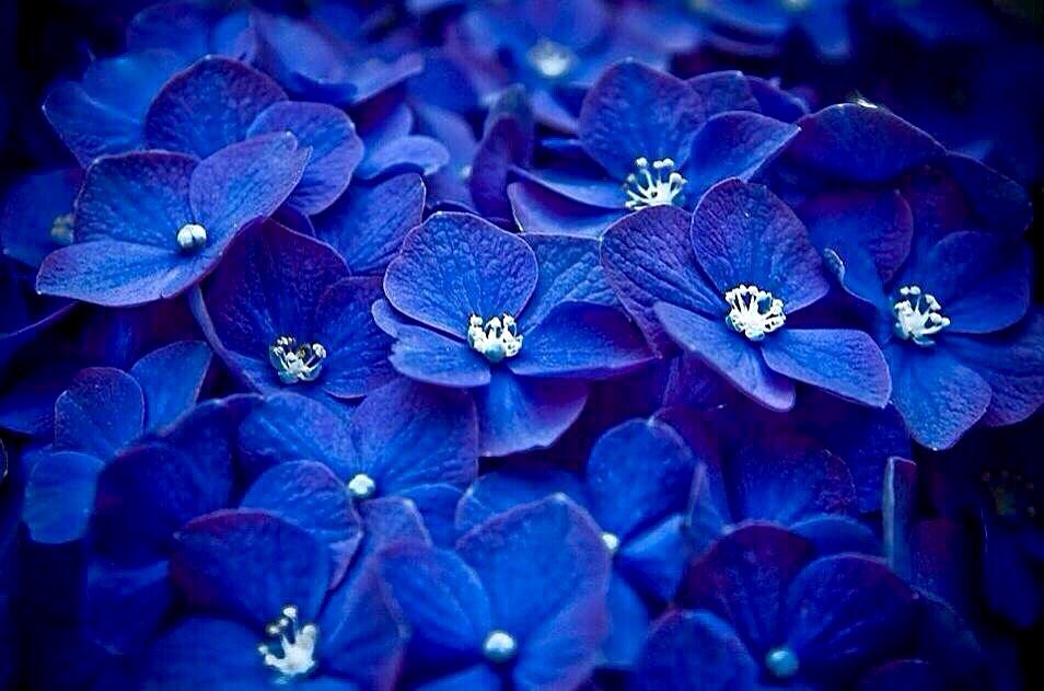 PardueSuzanne's tweet photo. Look for the beauty in today
and you will surely find it... https://t.co/fQ96tUPKPP