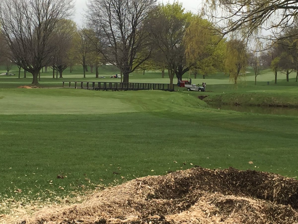 LeggyBent's tweet photo. Boys have been crushing it this week with stump grinding and clean up. 65 down 20 to go. #progress https://t.co/KMGPCug2rV
