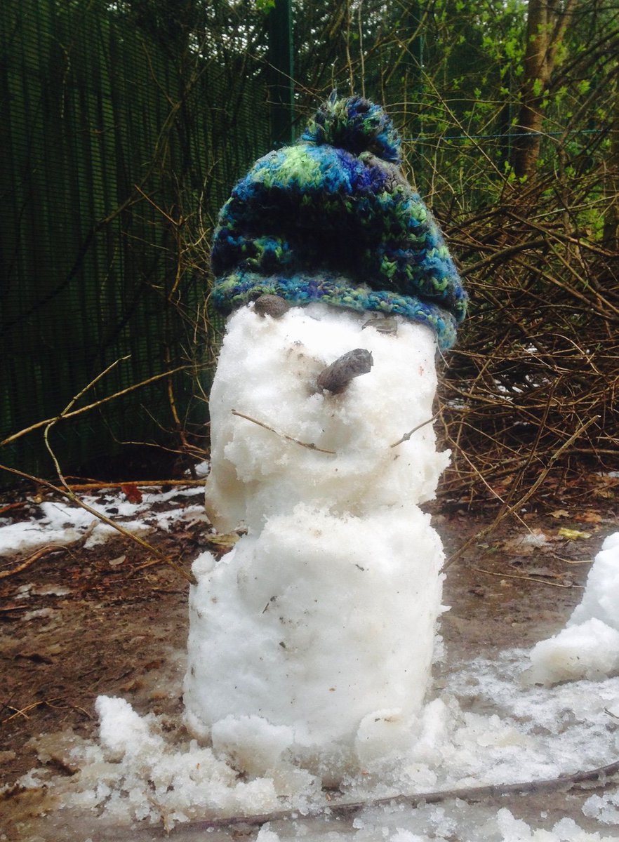 CommuniTreeOES's tweet photo. Frosty forced a change of plan today #snowballs #snowrolling #puddlejumping #snowslides @HollinPrimary https://t.co/WPPEUWOpoY