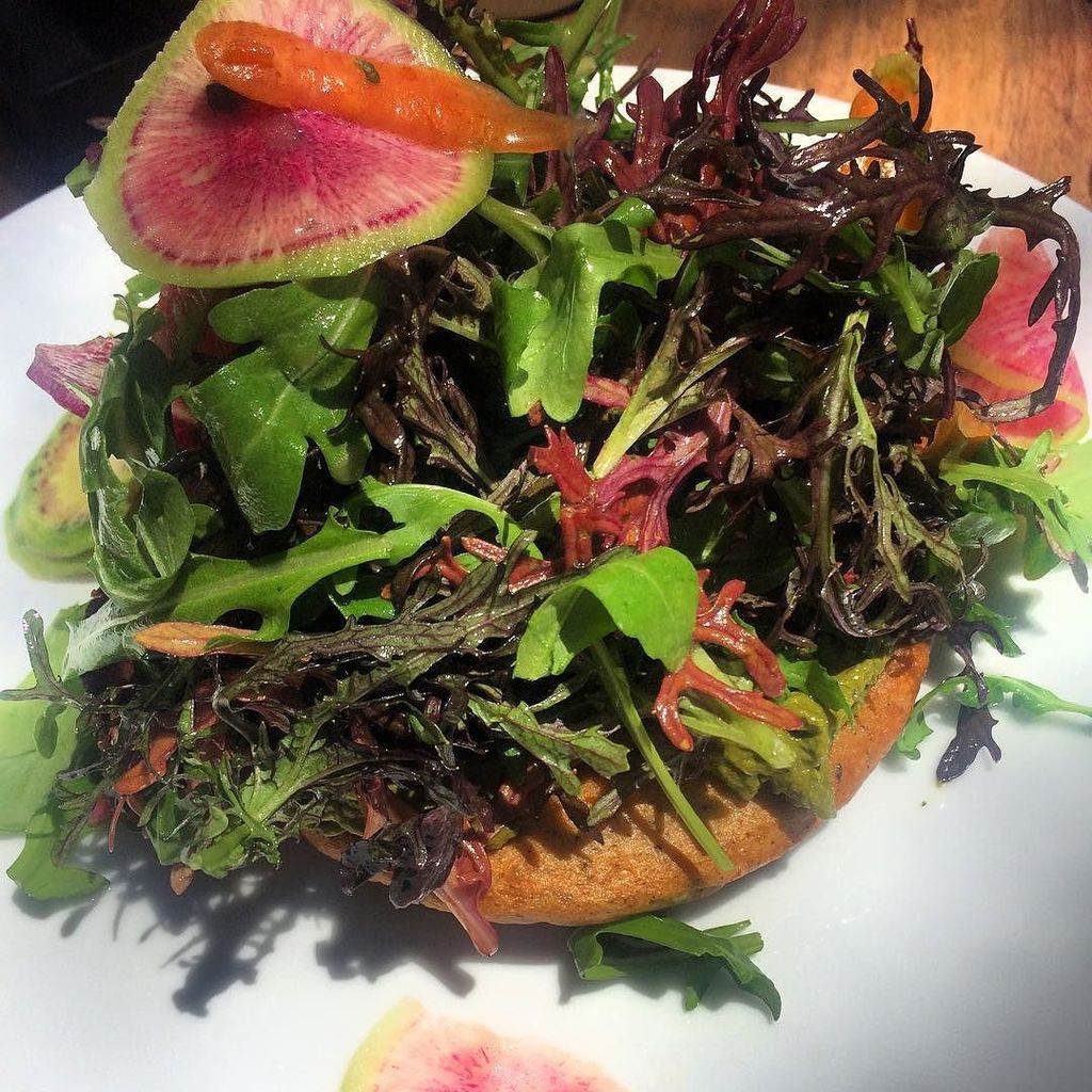 foodb0t_tweets's tweet photo. Delicious chickpea "frittata" at #plantfoodandwine with the most beautiful salad leaves! #VKInspired #VerasKitchen β¦ https://t.co/mmZ1u2UMTF