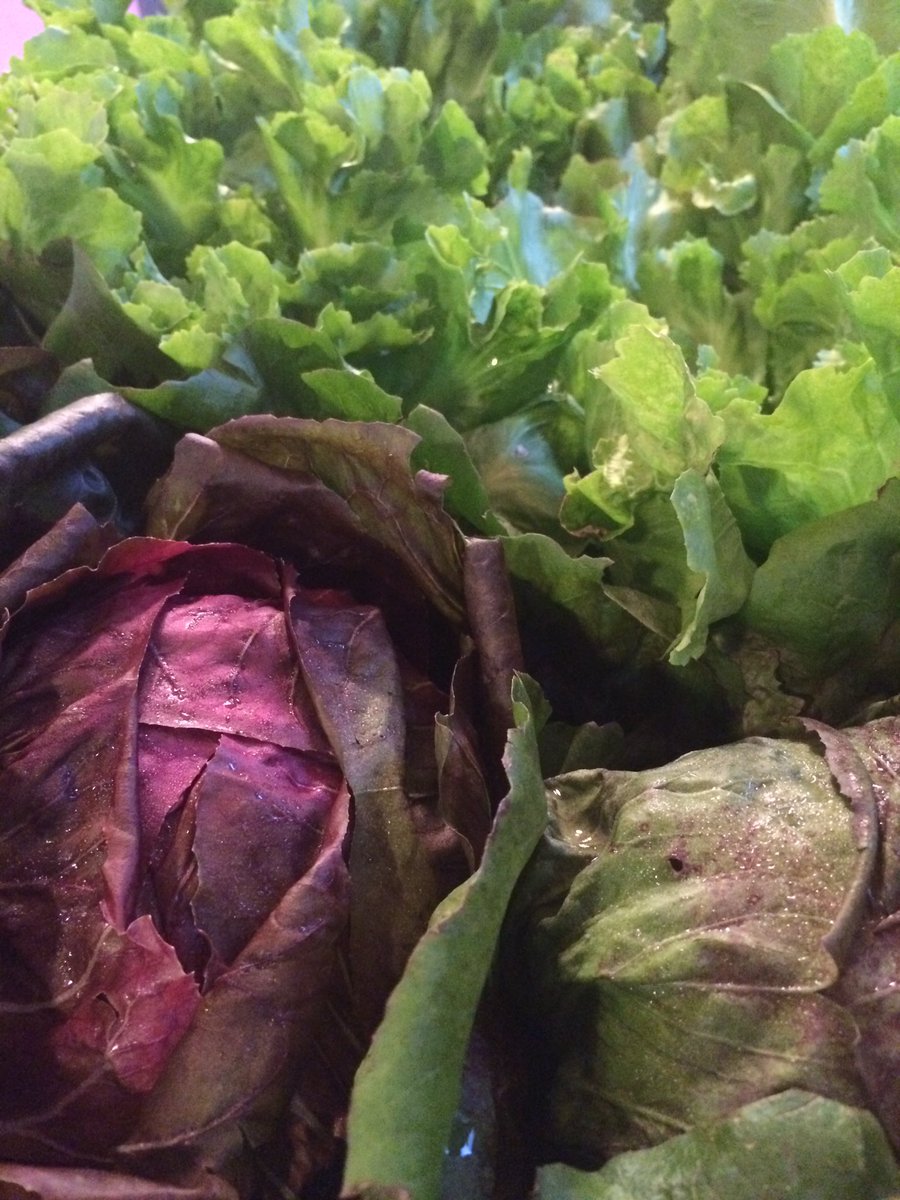 A cloudy, humid day at <a href="/BoggyCreekFarm/">Boggy Creek Farm</a>. We're here, though, and would love to see you!