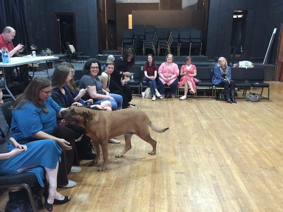 Ruby the dog supports the arts <a href="/WichitaCT/">Wichita Comm Theatre</a>! Be like Ruby and donate at tinyurl.com/zmb4s73 #ICTArtDog