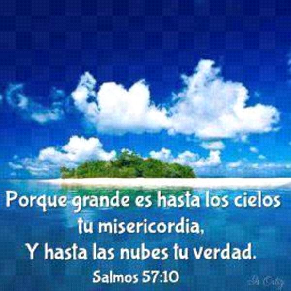 VidaPalabras777 tweet picture
