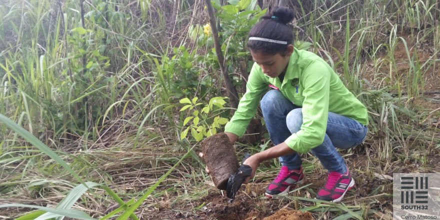 Estamos en jornada de arborización en las comunidades y las instituciones del área de influencia. #DíadelÁrbol