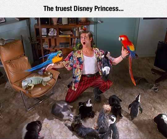 TheMetaPicture_'s tweet photo. I've Never Thought About This Before 
#themetapicture #metapicture #Disneyprincess #Disney #meme #funny https://t.co/CiaNOIqtjP