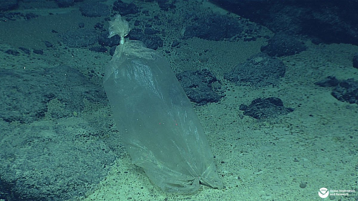 oceanexplorer's tweet photo. Even in deepest places on Earth, humans have left their mark: https://t.co/LQEiX30ciH #Okeanos #marinedebris https://t.co/CzVOs63fYm