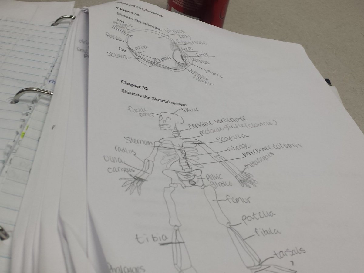 KWPoole97's tweet photo. Ready tho 👌
@MMCBiology https://t.co/ssHivideEy