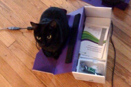 CatsAndVR's tweet photo. The #Cats & #VR #appoftheday is #catdetector for #HTCvive #svvr2016 #seriously #real #kinect https://t.co/bTeKSipXcN https://t.co/e1YSIL9GpV