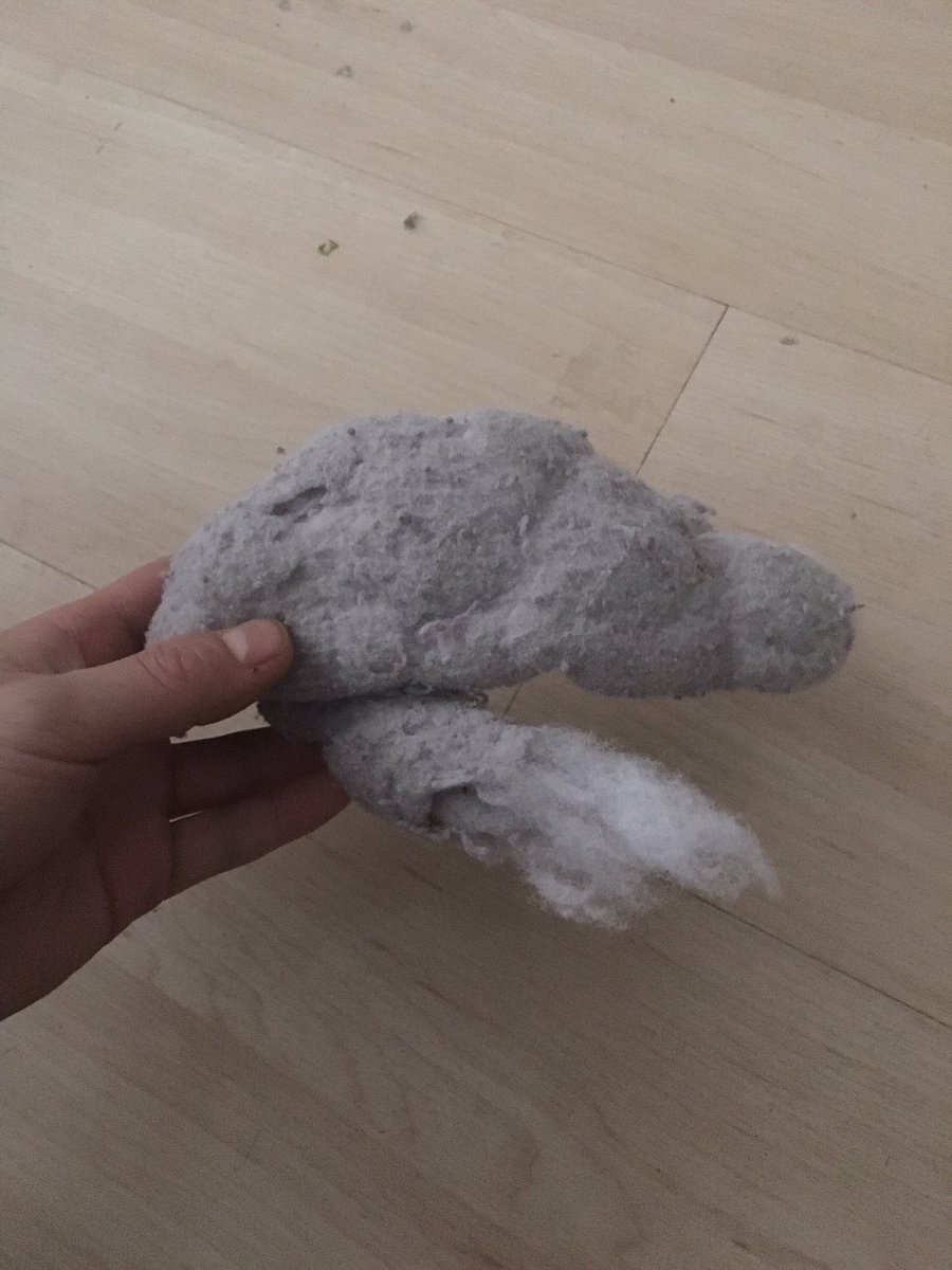 tao_lin's tweet image. Thing that fell out of my childhood blanket