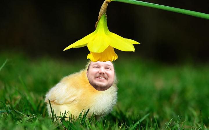 EddieRi0's tweet photo. #altlan come on you little chicken https://t.co/lJQ5wubPXu