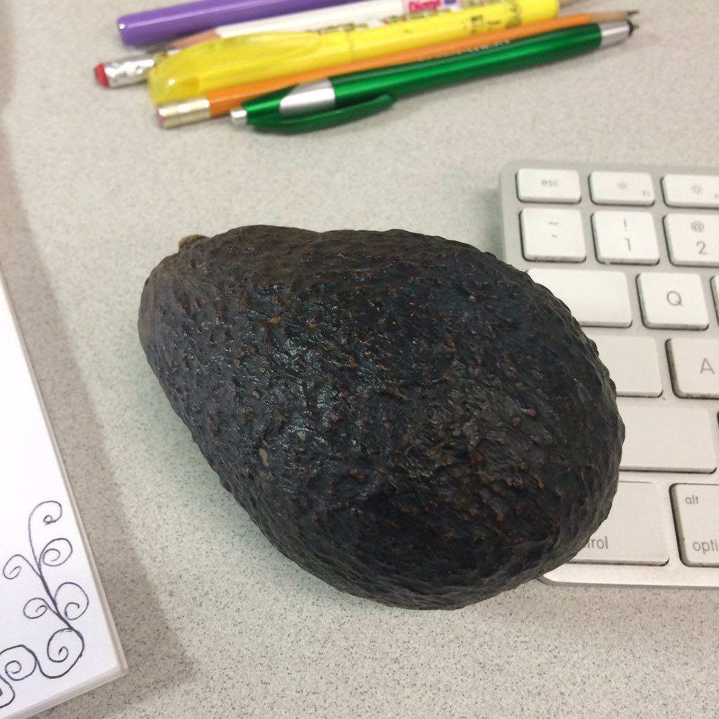 tweetlee_dee's tweet photo. I got a mysterious office avocado today.... #randompresents https://t.co/dMxq1zW5sP