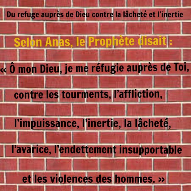 KneRokhaya's tweet photo. Du refuge auprès de Dieu contre la lâcheté et l’inertie - Qu'Allah nous préserve des gens de la trempe #daeshienne https://t.co/sLc9jaznBO