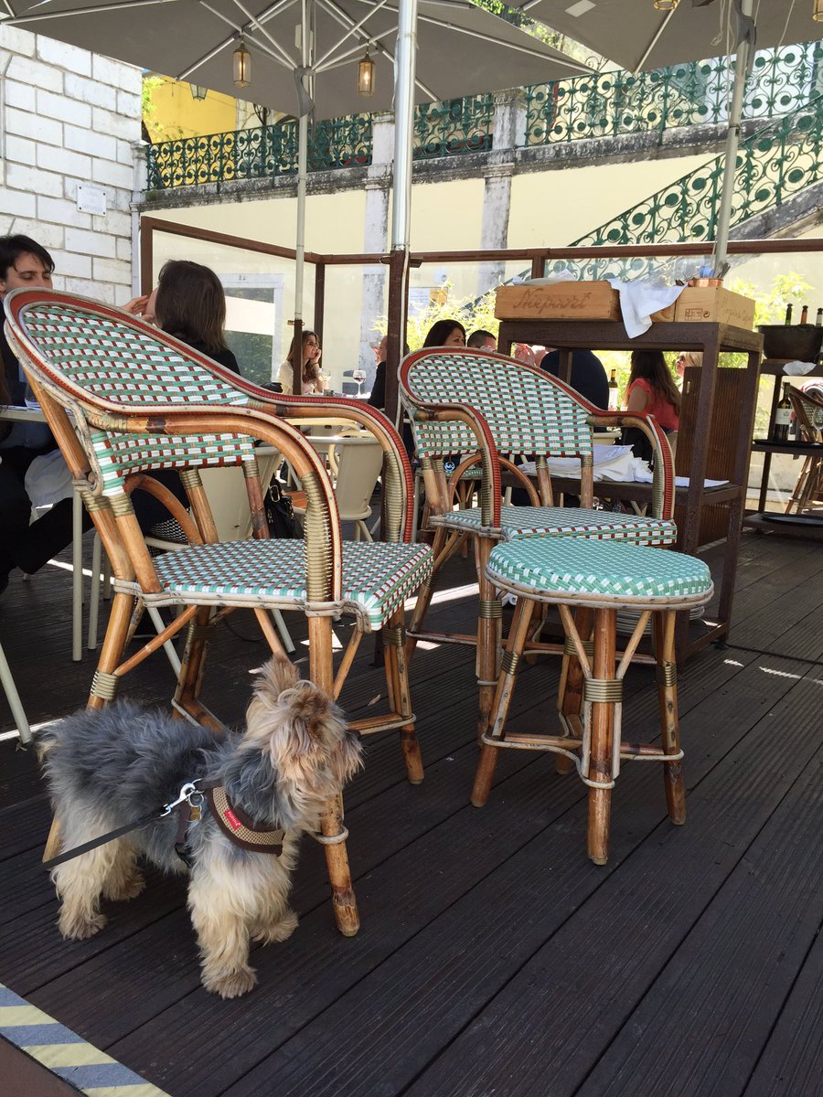 Rotanrilsan's tweet photo. Rotanstoelen op terras in Lisboa#rotan#dog#www.ha50.nl#terras https://t.co/yNxLCqqGgd
