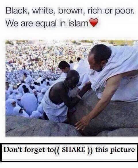 myviewhunt's tweet photo. Black, white, brown, rich or poor we are equal in islam. Share... https://t.co/ArswdiIFrg