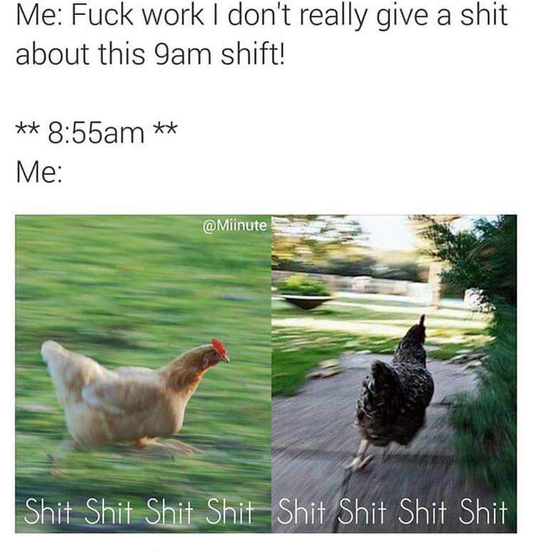 _basicbabe's tweet image. Every single day 😂