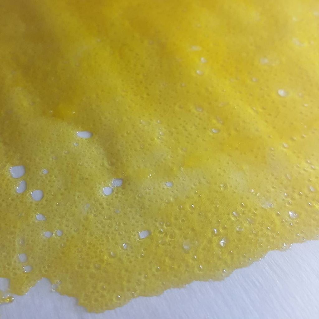 applejuice14431's tweet photo. Untouched photo,  such beautiful color and so fitting.. #acapulcogold 👑💛💯 #teamtreetop #treetoplabs #teamprecision … https://t.co/BwCZy9QH2C