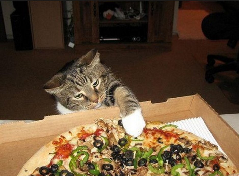 ManzoLiverpool's tweet photo. Don't worry guys... we're almost there! Come grab a #pizza #pasta or 2-4-1 #cocktail now #FridayArvo #FridayFeeling https://t.co/5gKi0EKck4