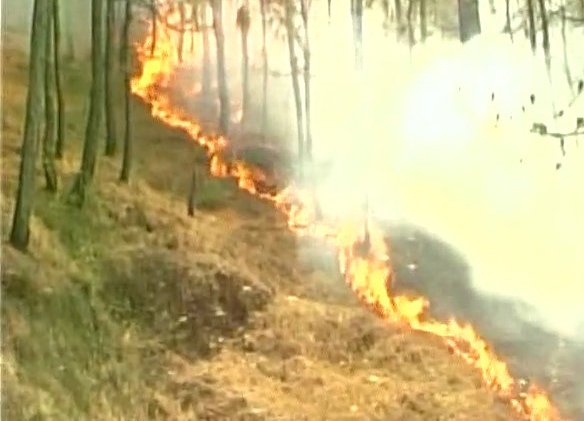 thetribunechd's tweet photo. #UttarakhandFire: Forest fire claims 5 lives; #NDRF forces deployed to control flames https://t.co/QY2pqlOYAv https://t.co/OvwZXvRxOs