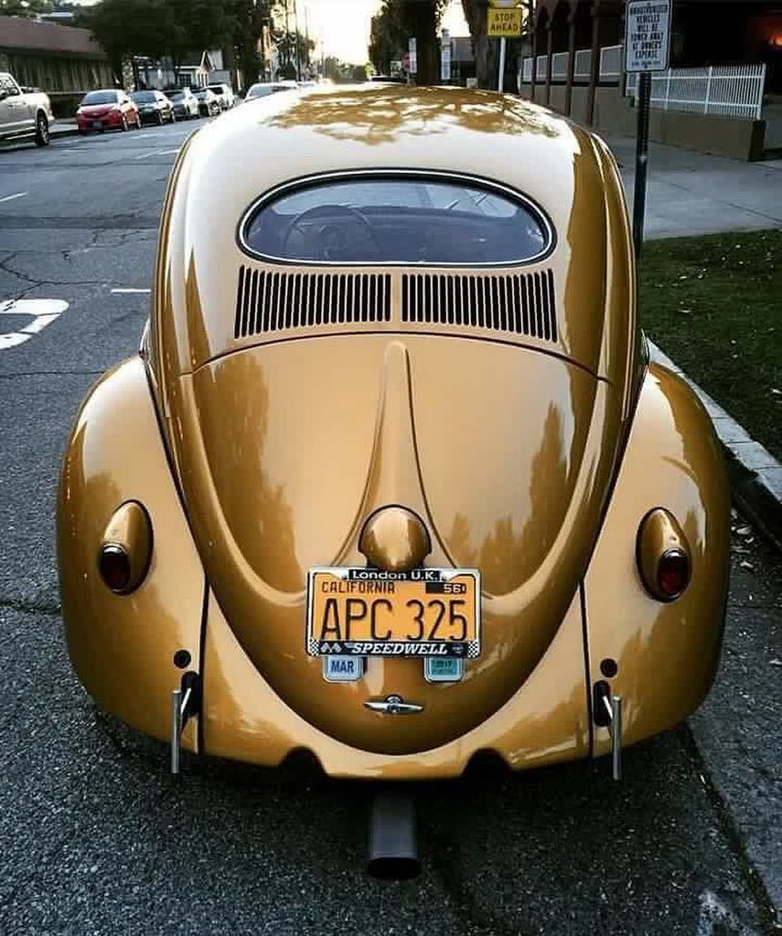 beetlebug1938's tweet photo. #vwoval #ovalbeetle #ovalbug #ovali #vintagevw #aircooledvw #vwkäfer #vwbeetle #vwbug #vocho #vosvos #fusca #eco #e… https://t.co/6qjIbW6FoF
