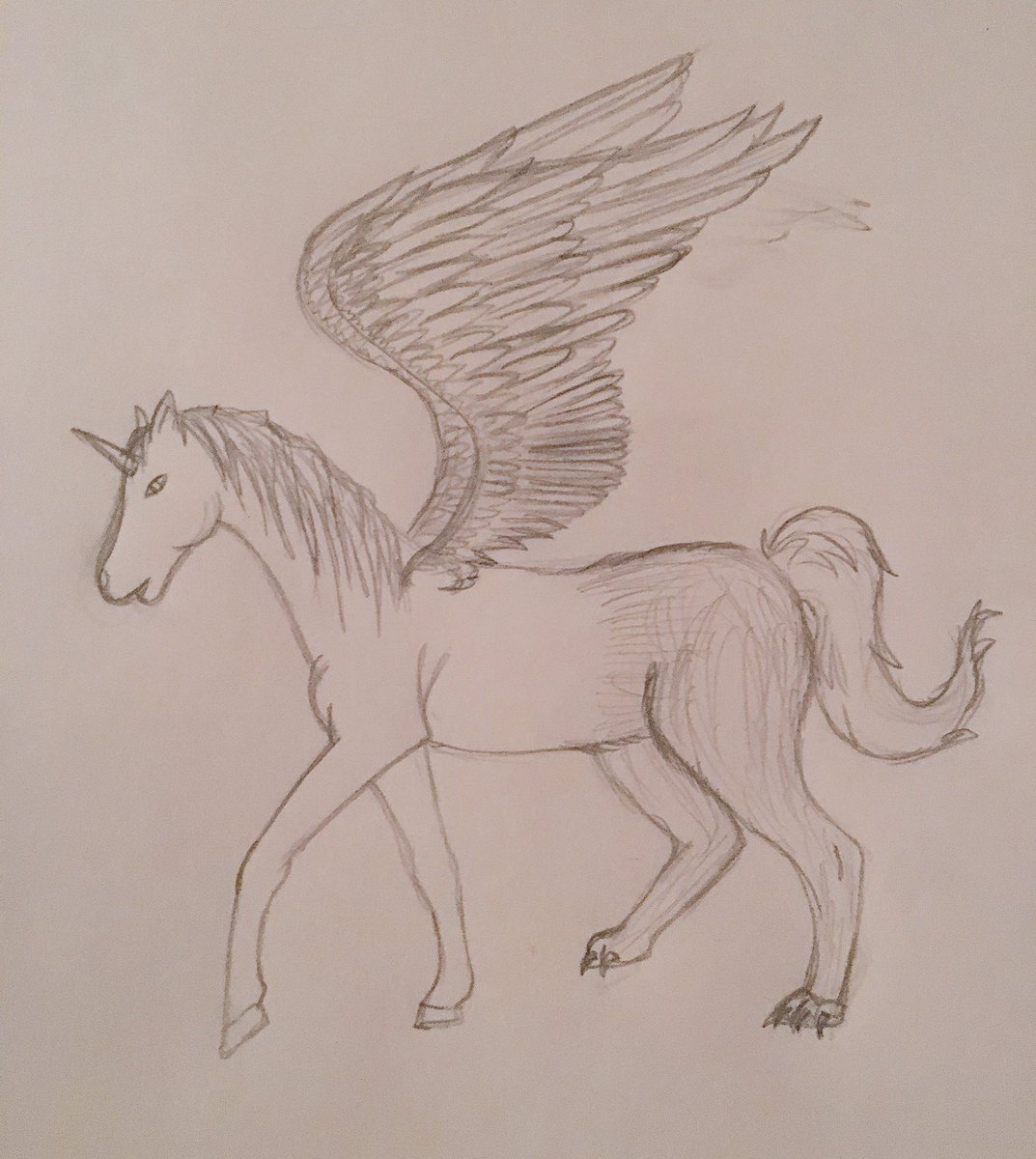 NeoIlvy's tweet photo. Wir sollten Mischwesen wirklich mehr Aufmerksamkeit schenken. Hier ein Wophorn (Wolf, Pegasus, Einhorn) https://t.co/Mj2T1N3uNW