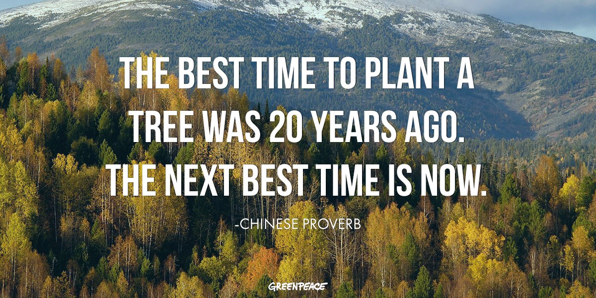 greenpeaceusa's tweet photo. Happy #ArborDay! If you breathe oxygen, thank a tree! https://t.co/1i2V9UJfPL