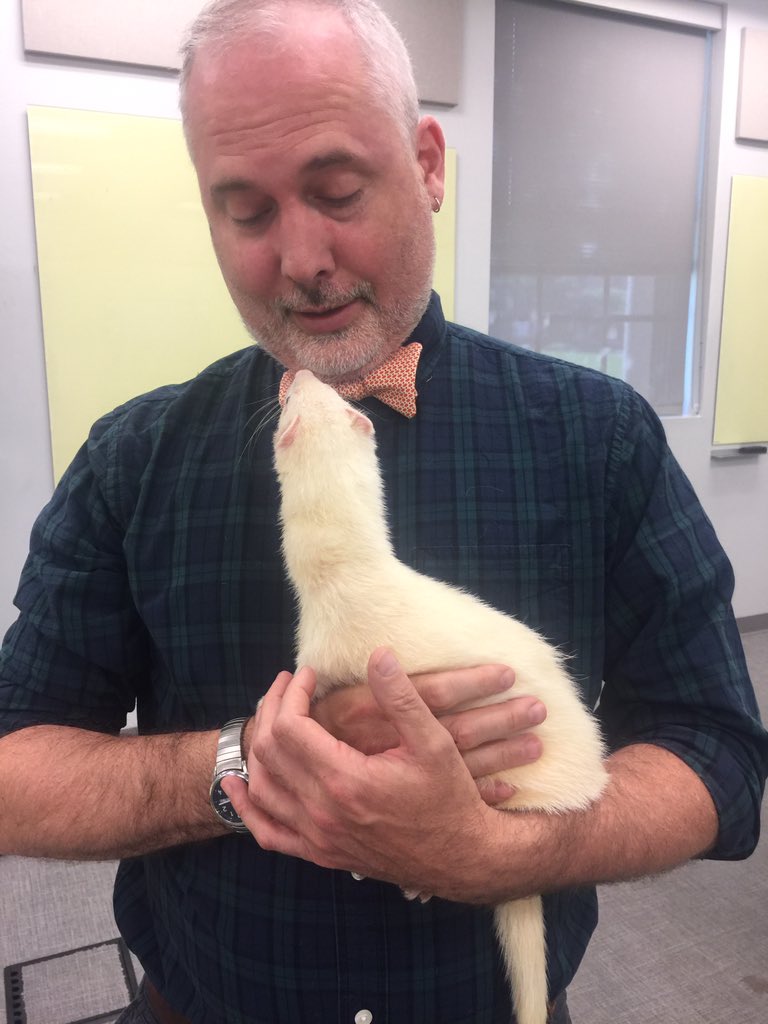 OrgOfTheDay's tweet image. #last #goodbyespring2016