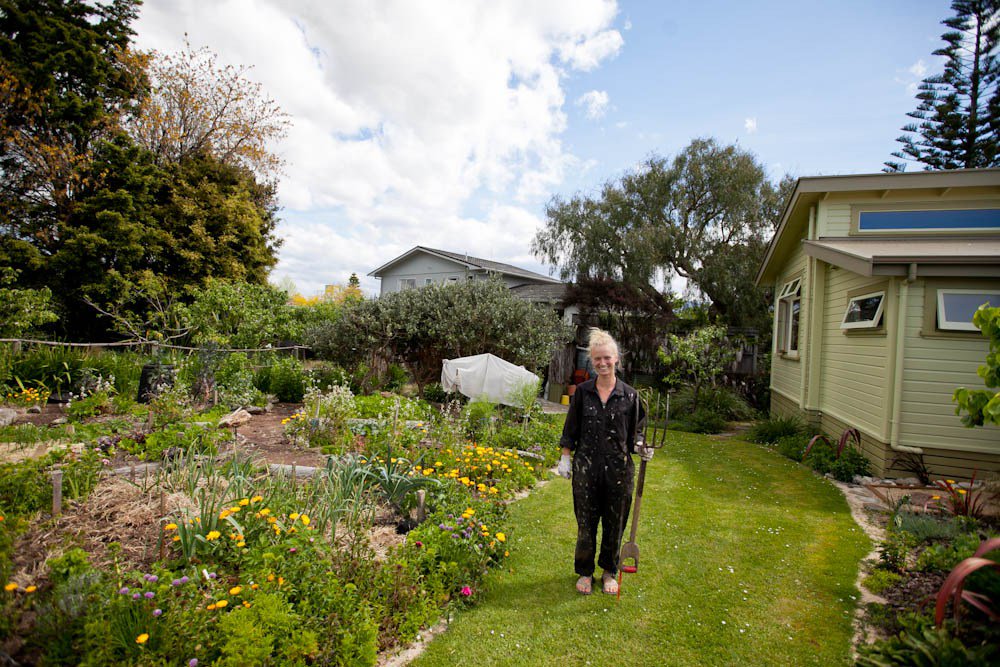 ChocoMooseImage's tweet image. back burner chocolatemooseimages.com/?p=6749