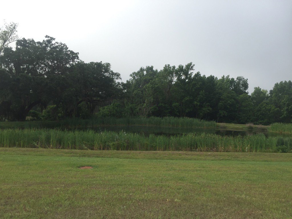 Found Sounds tweet media