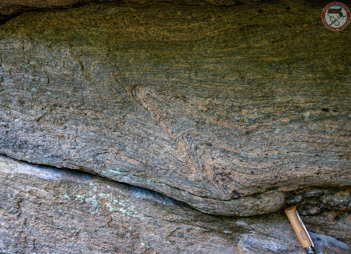 MassGeol's tweet photo. Presumed #Devonian age #FridayFold related to doming of the NeoProterozoic Fourmile #gneiss at #ErvingMA. #geology https://t.co/JH31v0R3Ln