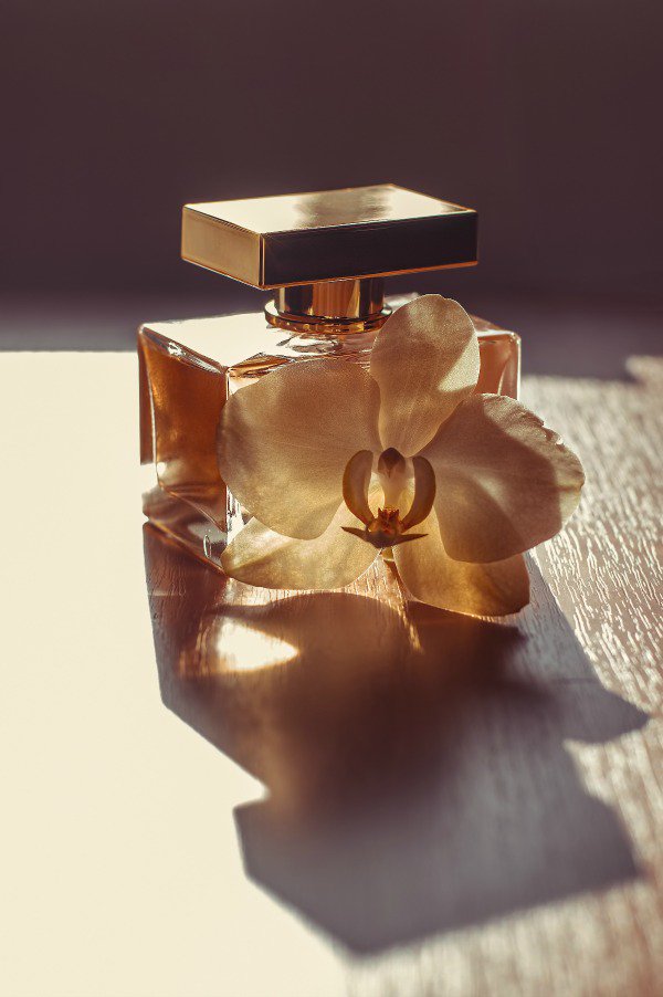 Max_Aroma's tweet photo. #floralfriday #gucci #fridayfeeling #orchid #premiere #perfumeshop #maxaroma #smallbusinesslove https://t.co/2pDmkQkjs3