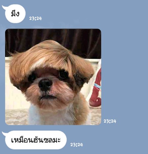 torandmore's tweet photo. กูนอนขำสามนาทีละไอเหี้ย โคตรขำ55555555555555555555555555555555555555555555555555 https://t.co/BfkFq32f2j