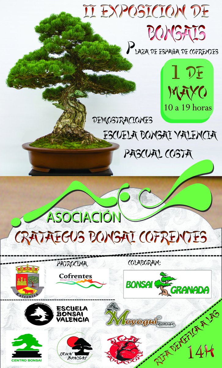 AytoCofrentes's tweet photo. Recordatorio: 1 de mayo en #Cofrentes: II Exposición de #Bonsais. De 10 a 19,00h. Aprende todo sobre el Bonsai https://t.co/L6lHOrK2er