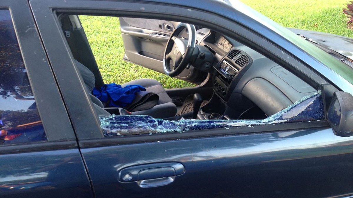 Dozens of vehicles burglarized in Pembroke Pines last night bit.ly/1SPh1bi?utm_me… https://t.co/c7s67fuDxa
