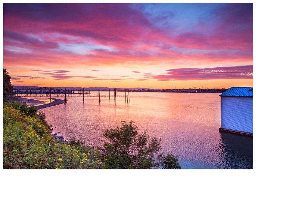 KunalMehraPhoto's tweet photo. Colors of summer in portland https://t.co/zvJbqCa1ZE #columbiariver #marinedrive #portlandsunset @QualityArt https://t.co/u2PZmTY65e