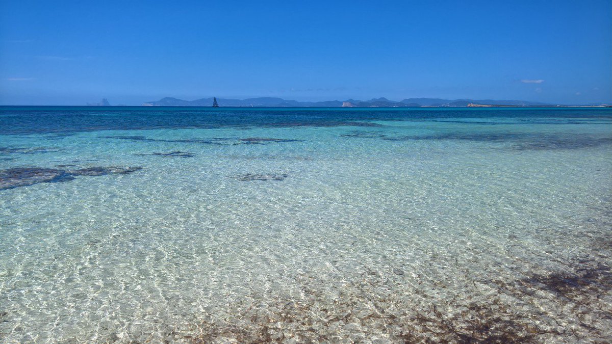 Einar Màr Einarsson tweet media