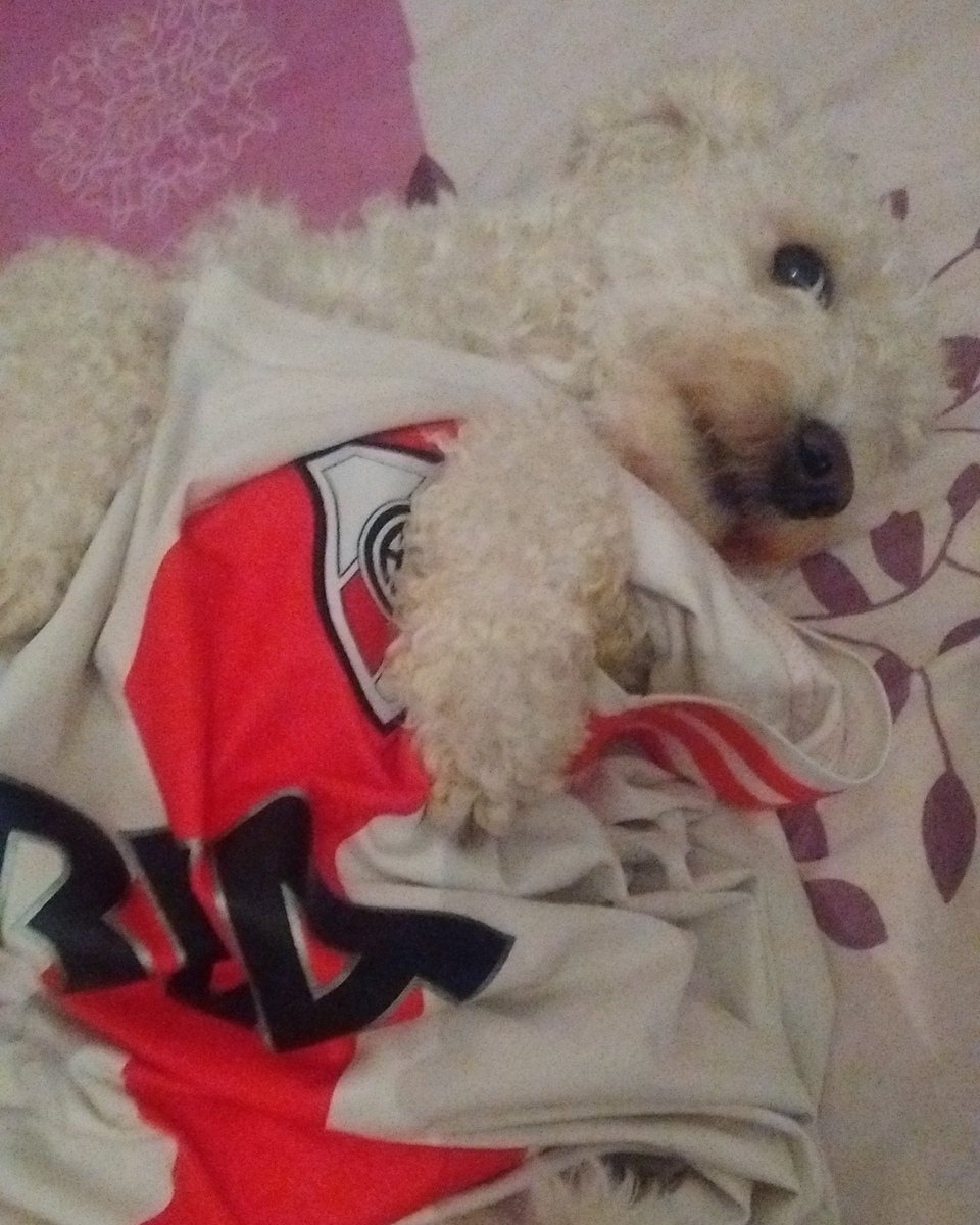Manueeel_juarez's tweet photo. Feliz día ruquillo! #MascotaRiverPlatense #DelMasGrande https://t.co/3FYfCoY49Y