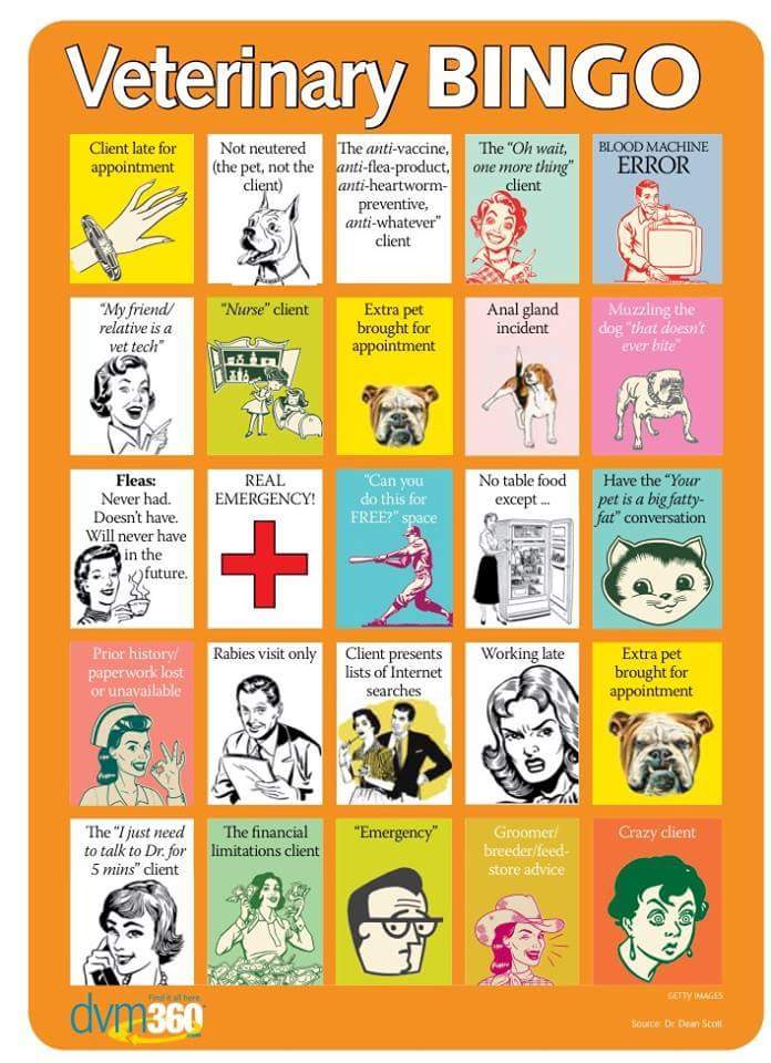 VetClinicProbz's tweet photo. BINGO!!!! #VetClinicProblems #bingo https://t.co/TF0pXJLgEs