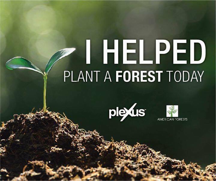 kdkiley's tweet image. I helped aid in cleaner air and water. 20,000 orders = 20,000 trees!  #earthday2016 #plexusgivesback