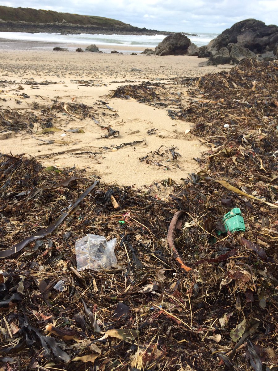 Get in touch to volunteer or find out how you can support our work #CleanCoastWeek or Text KWTT40 &amp; £amount to 70070