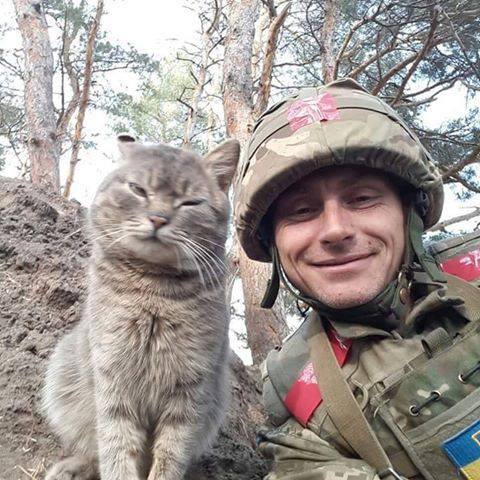 Решение об участниках учений "Анаконда-16" принимает Польша, - Минобороны ФРГ - Цензор.НЕТ 8105