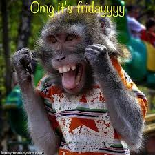 SolarTAC's tweet photo. Monkey on a Friday! #solar #gridedge #weekend https://t.co/FyaOZJLhbl