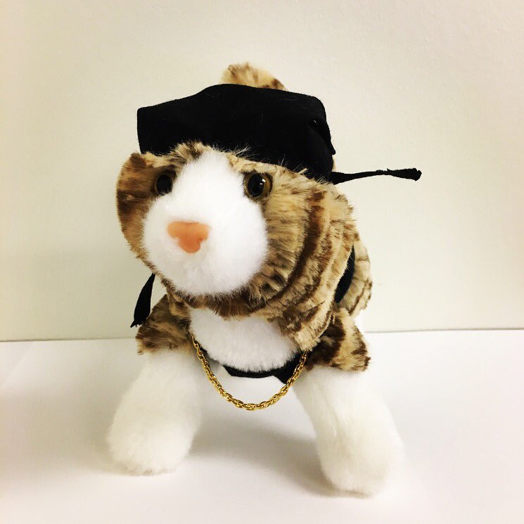 KeanuMovie's tweet image. RT for a chance to win a #KEANU of your very own. Official Rules: bit.ly/1rDwtyF