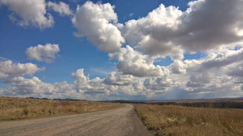 The roads less travelled are always the most rewarding