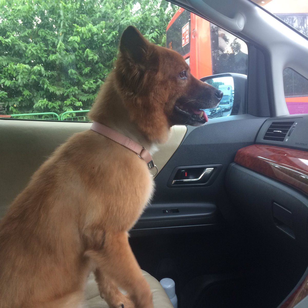 peterpandz's tweet photo. Monica is missing pls pls help to rt and contact 92975927 or 96792774 if seen pls pls help to rt thank you https://t.co/XZVdMWMy9p