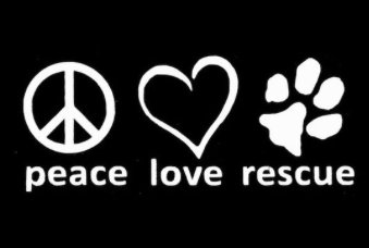 And repeat. #SacDogDays #AdoptDontShop