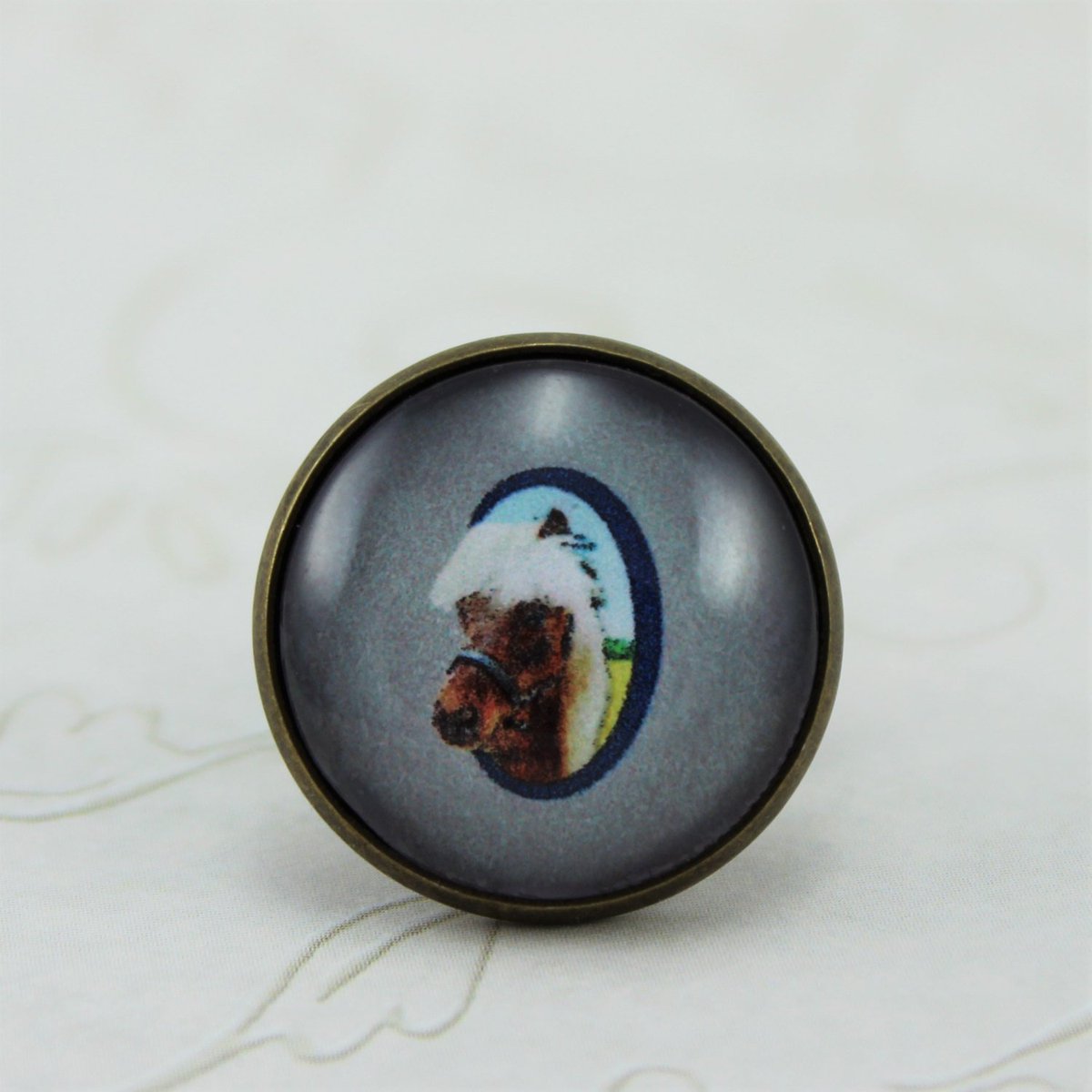 monalaina's tweet photo. L'il Sebastian Pin, Parks and Recreation Pin, Pawnee Pin, Antique Bronze, V… https://t.co/7wlLFoFOiG #art #ArtButton https://t.co/PO56Sgt0nm