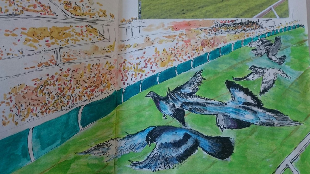 LittleParagull's tweet photo. If racing pigeons were allowed at the grand national! I've just re discovered an old sketch book! https://t.co/bkJ1K7Xiha