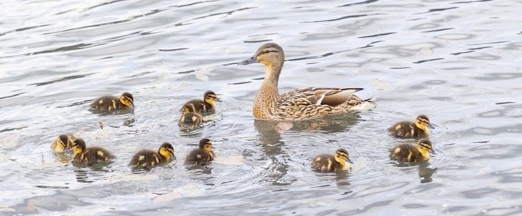 How to Motivate Your Sales Team: 4 Tried-and-True Strategies hubs.ly/H02RqGM0 by <a href="/dantyre/">Dan Tyre</a>