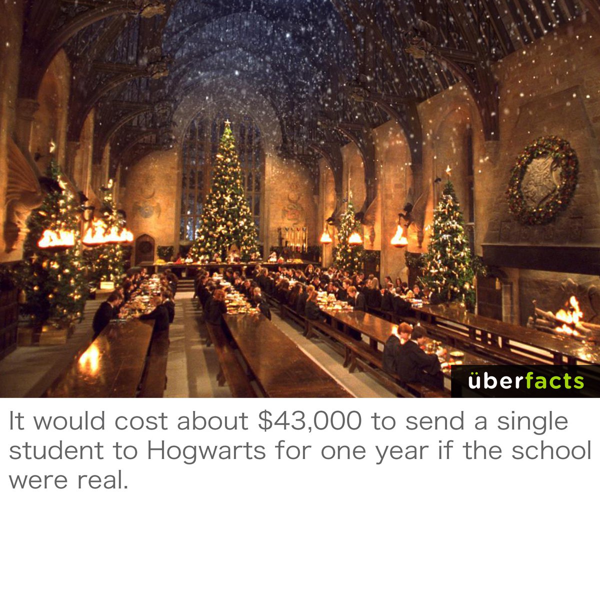 UberFacts's tweet photo. It would be my dream... https://t.co/7HeMVq7TXA